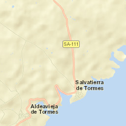 Salvatierra de Tormes Street Map