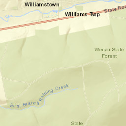 Williamstown Street Map