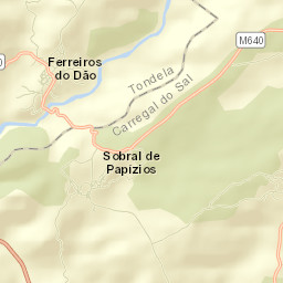 Carregal do Sal Street Map
