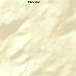 Pinedas Street Map