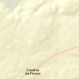 Casillas de Flores Street Map