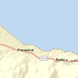 Narlıca Street Map