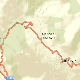 Leskovik Street Map