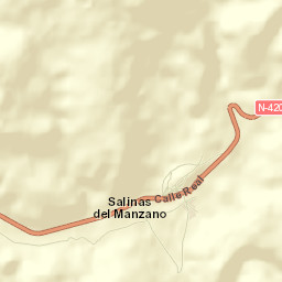 Salinas del Manzano Street Map