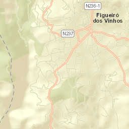 Figueiró Dos Vinhos Street Map