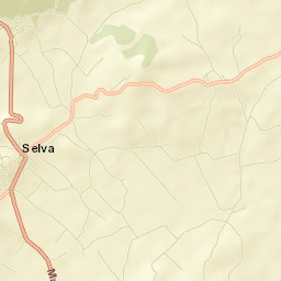 Selva Street Map