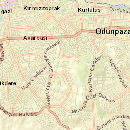 Odunpazarı Street Map