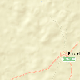 Pinarejo Street Map