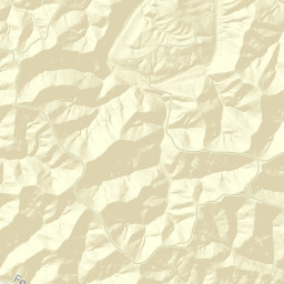 Tyler County Street Map