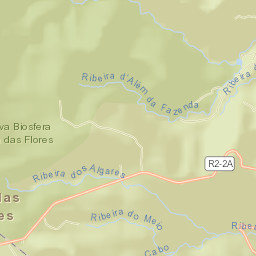 Santa Cruz das Flores Street Map