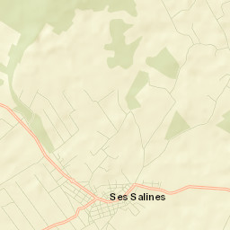 Ses Salines Street Map