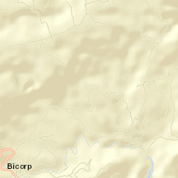 Bicorp Street Map