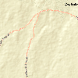 Zeytinliova Street Map