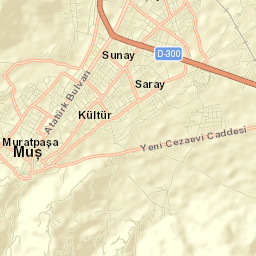 Muş Street Map
