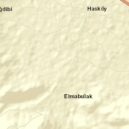 Hasköy Street Map
