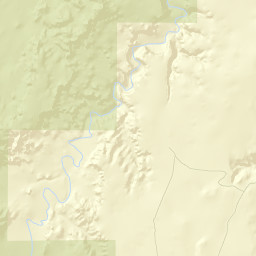 Wayne County Street Map