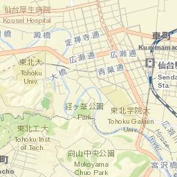 Sendai Street Map