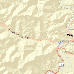 Wayne Street Map