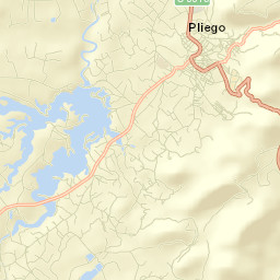 Pliego Street Map