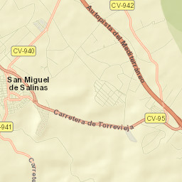 San Miguel de Salinas Street Map