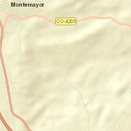Montemayor Street Map