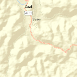 Savur Street Map
