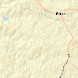 Forest Street Map