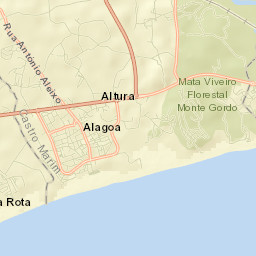 Altura Street Map