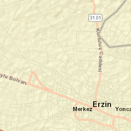Erzin Street Map