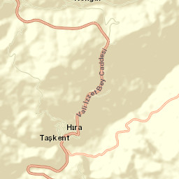 Taşkent Street Map