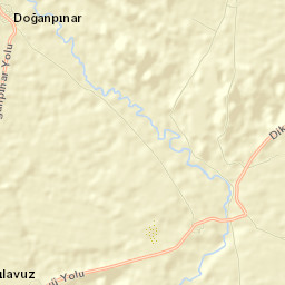 Doğanpınar Street Map