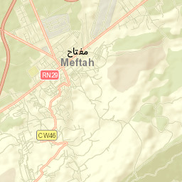 Meftah Street Map