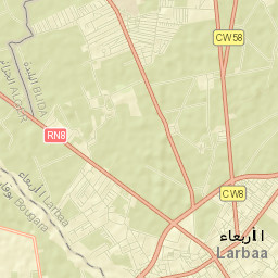 Larbaâ Street Map