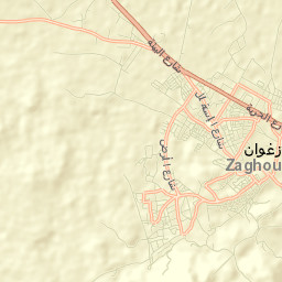 Zaghouan Street Map