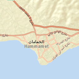 Hammamet Street Map