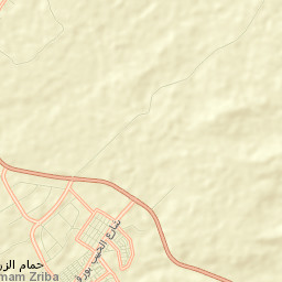 Zriba Street Map