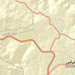 Souk Ahras Street Map