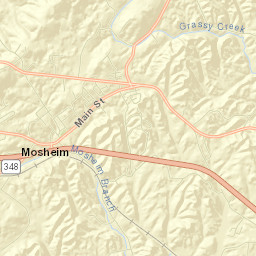 Mosheim Street Map