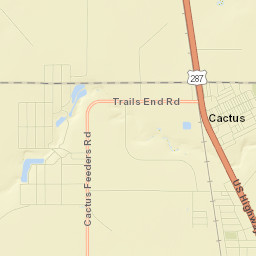 Cactus Street Map