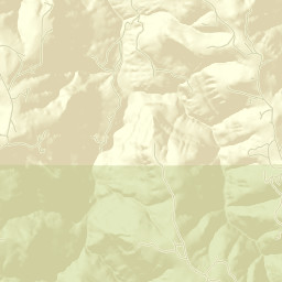 Newton County Street Map