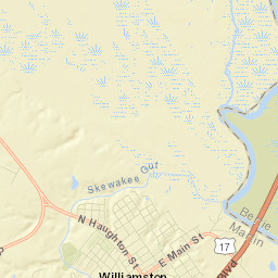 Williamston Street Map