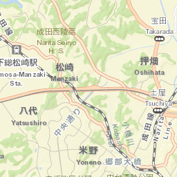 Narita Street Map