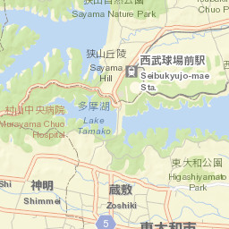Higashiyamato-shi Street Map