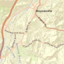 Waynesville Street Map