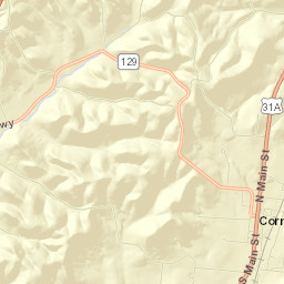 Cornersville Street Map
