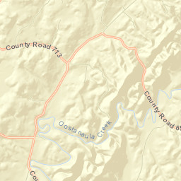 2348-2460 Cedar Springs Rd, Riceville, TN 37370, USA Street Map