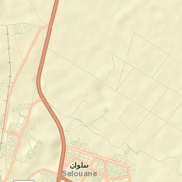 Selouane Street Map
