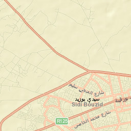 Sidi Bouzid Street Map
