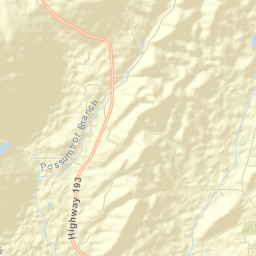 Walker County Street Map
