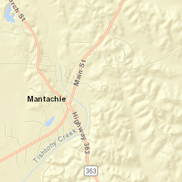 Mantachie Street Map